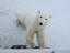 Image_22828-4