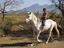 White horse, Nicaragua