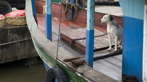 Boat in harbour, Bluefields
