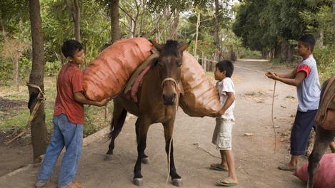 Isla de Ometepe