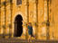 Image_22835-84