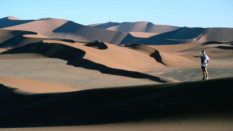 The Namib-Naukluft Desert Park supports an amazing eco-system considering the harsh conditions where surface temperatures can be as much as 70 degrees