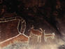 Aboriginal rock art of the Creator Spirit, Bunjil, and his two dingoes at Bunjil's Shelter.