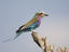 Image_22879-17