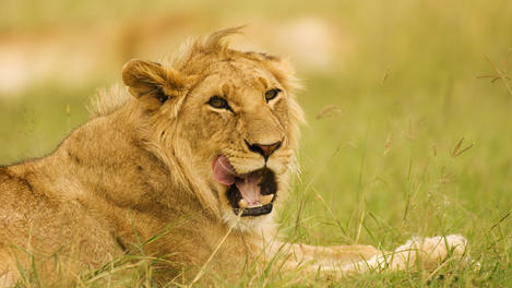 Image_22881-27