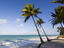 Image_22885-1