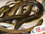 Image_22886-26