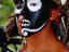 Mayan Indian Dancer, Zihuatanejo