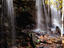 Image_22910-4