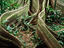 Image_22911-4