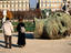 Image_22943-11