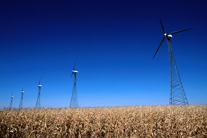 Windmills in cornfield, central Iowa.