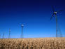 Windmills in cornfield, central Iowa.