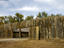 Image_22987-23