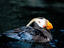 Image_22997-10