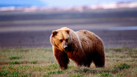 Image_22997-8