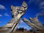 Nazi concentration camp, Kaunas