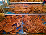 Noryangjin Fish Market. Giant Crabs, Sinchon.