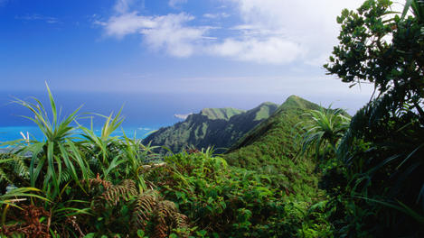 Image_23040-7