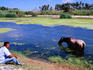 Farmer watering his horse, Estero San Jose.