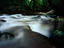 Mt Bartle Frere, Far North Queensland