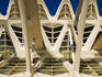 Detail of Museu de les Ciencies Principe Felipe at Ciudad de las Artes y las Ciencias (City of Arts and Sciences),