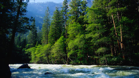 Image_231-1201