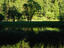 Image_231-1401