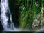 Fiordland National Park, Milford Sound