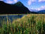 Eglinton River valley, Milford Sound