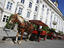 Image_23121-16