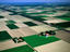 Rural fields, The Netherlands