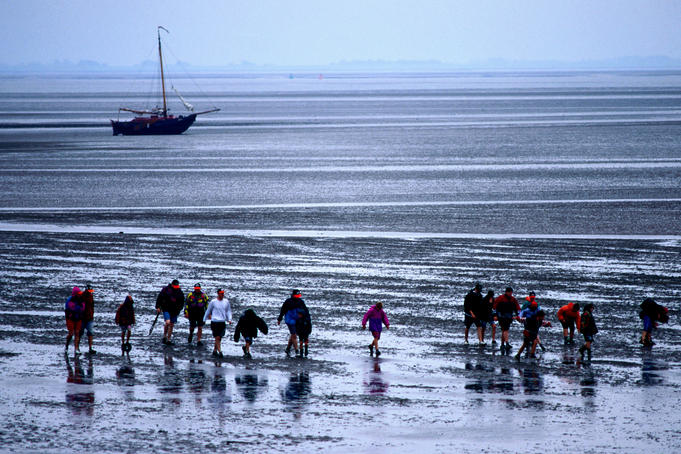 Wadlopers (mudwalkers) on mud flats at low tide.