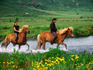 People riding Icelandic ponies across a stream.