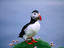 Image_23143-33