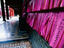 Image_23148-33