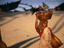 Colva beach labourer, Goa