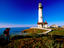 Image_23182-13