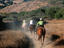 People horseback riding down, Big Sur