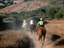 People horseback riding down dusty track.