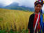 Yao, Mien, Vietnam