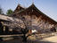 Image_2319-24
