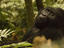 Image_23197-1