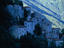 Image_2320-3