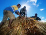 Three men repair bure roof.