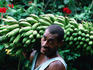 Man carrying a bunch of bananas.