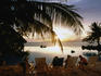 Overlooking the swimming pool at sunset, Tahiti Beachcomber Intercontinental Resort.