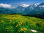 Alpine valley, Bern