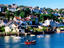 Image_23250-11