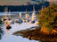 Image_23250-17